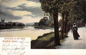 Saalfeld Germany Woman Walking Lake Front Road Antique Postcards K17468