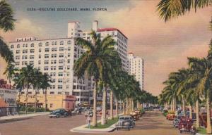 Florida Miami Biscayne Boulevard 1946