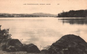 Vintage Postcard 1910's View Lake Pennesseewassee Norway Maine ME