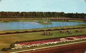 Vintage Postcard Hialeah Race Course Parading Post on the Turf Miami FL Florida