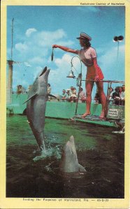 Marineland FL, St. Augustine, Beautiful Woman Feeding Porpoise, Sexy Shorts, Cap