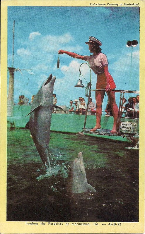 Marineland FL, St. Augustine, Beautiful Woman Feeding Porpoise, Sexy Shorts, Cap