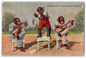 1914 Carl Hagenbeck's Musizierende Chimpansee Hamburg Germany Postcard