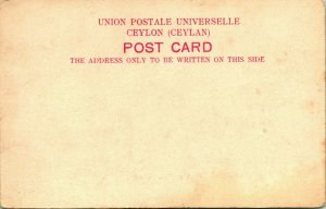 Vtg Postcard 1900s UDB Sri Lanka Ceylon Kandy - Pruning Tea Unposted