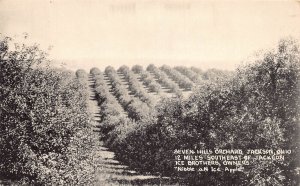 J84/ Jackson Ohio Postcard c1930s Seven Hills Orchard Ice Brothers  39