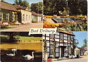 BG1594 bad driburg cygne swan   CPSM 14x9.5cm  germany