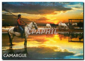 Postcard Modern Guardian and Camargue Camargue horse