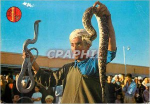 Postcard Modern Marrakech charmer snakes Djemaa El Fna