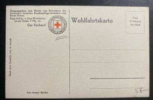 Mint Germany PPC Picture Postcard Red Cross Dog Training 