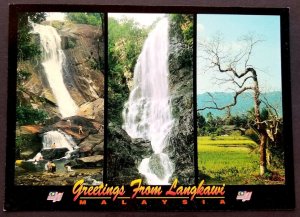 [AG] P21 Malaysia Greeting From Langkawi Waterfall Tree Tourism (postcard) *New