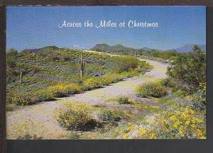 Christmas in AZ Postcard BIN 