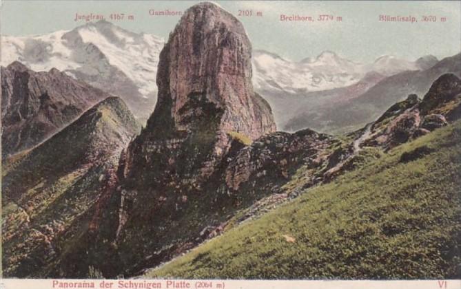 Switzerland Panorama der Schynige Platte