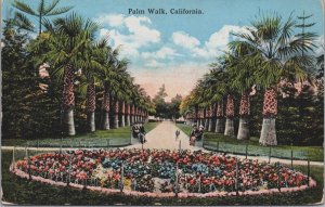 Palm Walk California Vintage Postcard C144