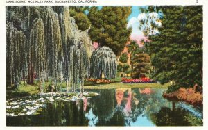 Vintage Postcard Lake Scene McKinley Park Weeping Willows Sacramento California