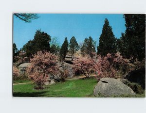 Postcard - Devils Den In Springtime - Gettysburg, Pennsylvania