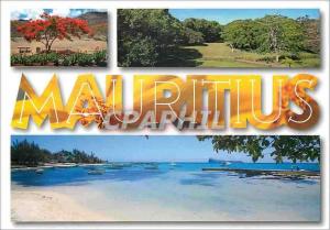  Modern Postcard Mauritius Landscape typical