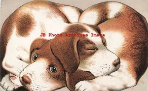 Meggendorfter No 378, Puppies Sleeping, Dogs, Trimmed