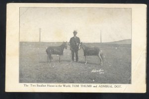 WORLD'S SMALLEST HORSES TOM THUMB ADMIRAL DOT FARMING VINTAGE POSTCARD