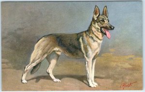 RIVST  Artist Signed ALSATIAN WOLFHOUND Vintage Dog Postcard Switzerland