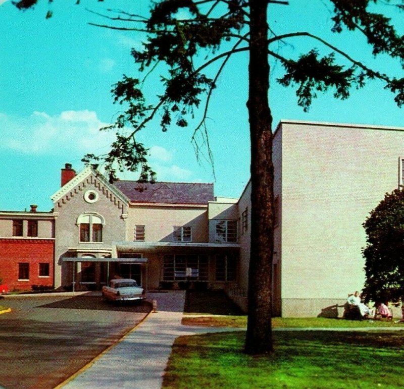 Vtg Chrome Postcard Niles Michigan MI Pawating Hospital Dexter Press Unused UNP