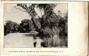 North Shore of Mary Ann Island Near Port Ontario, Pulaski NY Vtg Postcard B49