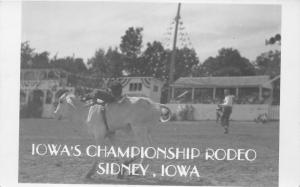 Sidney Iowa~Iowa's Championship Rodeo~Monkey? Riding Calf~People Bknd~RPPC