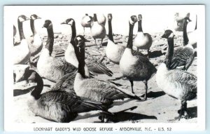 RPPC  ANSONVILLE, North Carolina NC~ LOCKHART GADDY'S Wild Goose Refuge Postcard
