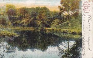 Connecticut Waterbury View In Hamilton Park 1909