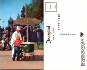Disneyland (11845)