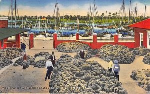 Sponges and Sponge Boats Tarpon Springs, Florida