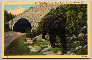 Vtg Smoky Mountains National Park Black Bear Hitch Hiker 1940s Linen Postcard