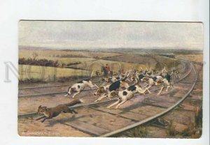 3183016 Hunt fox w/ dogs POINTER HORSES Vintage TUCK postcard