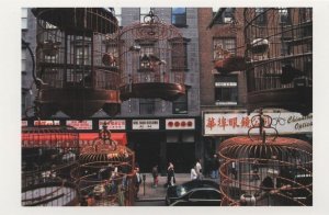 Mott Street Chinatown New York Bird Cages USA Award Postcard