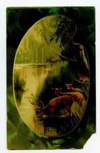 Postcard Deer Drinking Water From Lake E.C.C. Series 162 Standard View Card