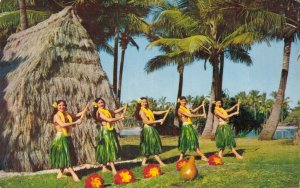 Hawaii The Hula Girls Chrome Postcard 08.41