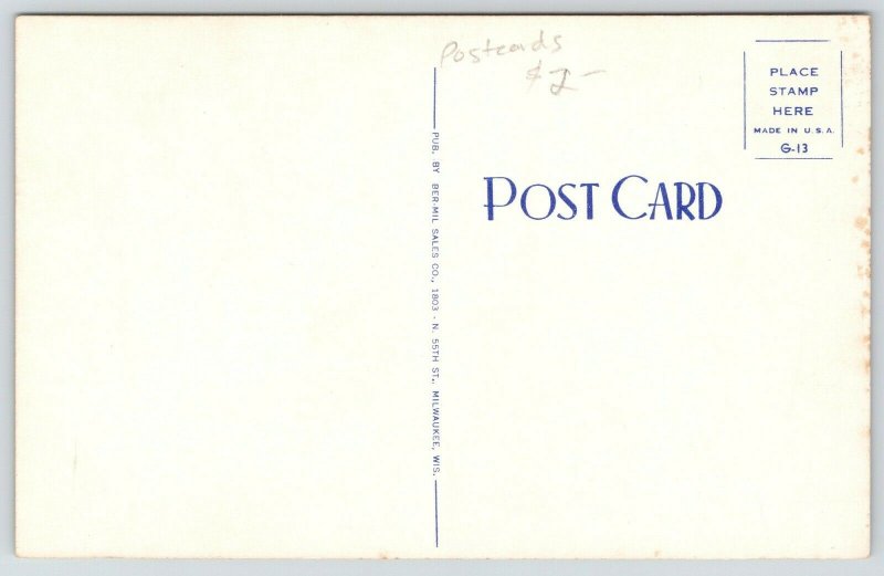 Say it With Postcards Shop~Have One That Says PHOOEY?~Sunburned Lady Bit~1950s 