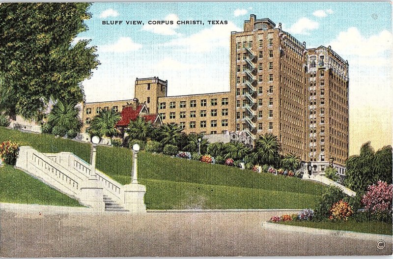 Postcard BUILDING SCENE Corpus Christi Texas TX AI1580
