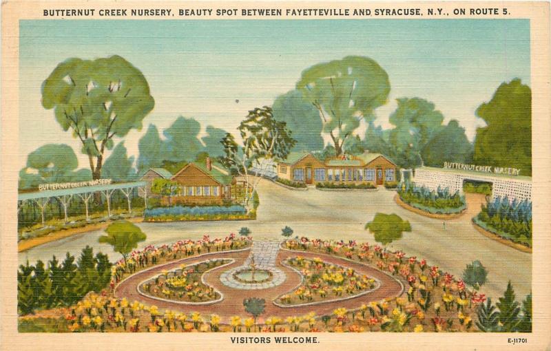 Linen Postcard; Butternut Creek Nursery between Fayetteville & Syracuse NY
