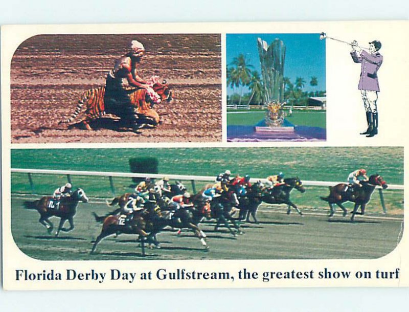 Chrome HORSE RACING SCENE Hallandale - Near Miami Beach Florida FL AG5434