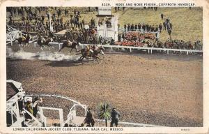 Tijuana Mexico Jockey Club Race Track Finish Line Vintage Postcard JE229433