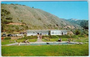 BIG SUR, California CA   Roadside  HOT SPRINGS LODGE Highway 1 ca 1960s Postcard