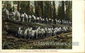 US Troopers, Fallen Sequoia - MIsc, CA