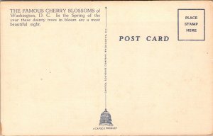 Vtg Washigton DC Cherry Blossoms with Capitol in Background 1930s Linen Postcard