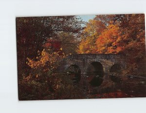 Postcard Autumn in the Wildflower Preserve Washington Crossing State Park PA