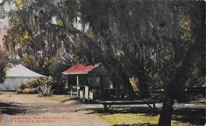 Lamla Park New Braunfels Texas 1915 postcard