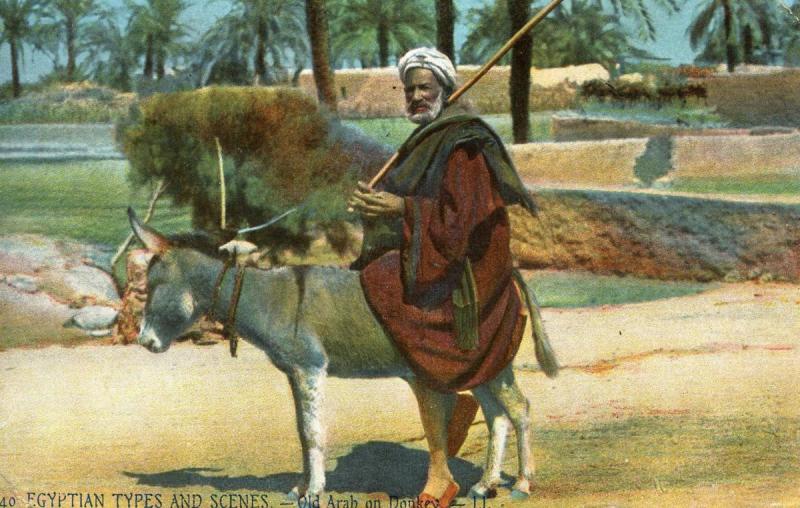Egypt - Old Arab on Donkey