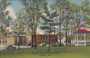 Ohio Canfield Looking Through Central Park Curteich