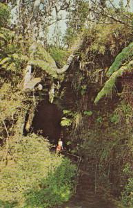 Hawaii Thurston Lava Tube Hawaii Volcanoes National Park 1964