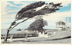 CLEVEDON SOMERSET ENGLAND~GREEN BEACH POSTCARD  