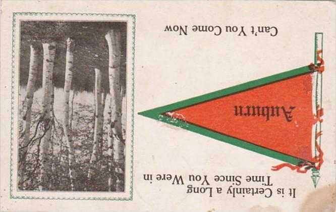 Pennant Series Auburn Iowa 1914